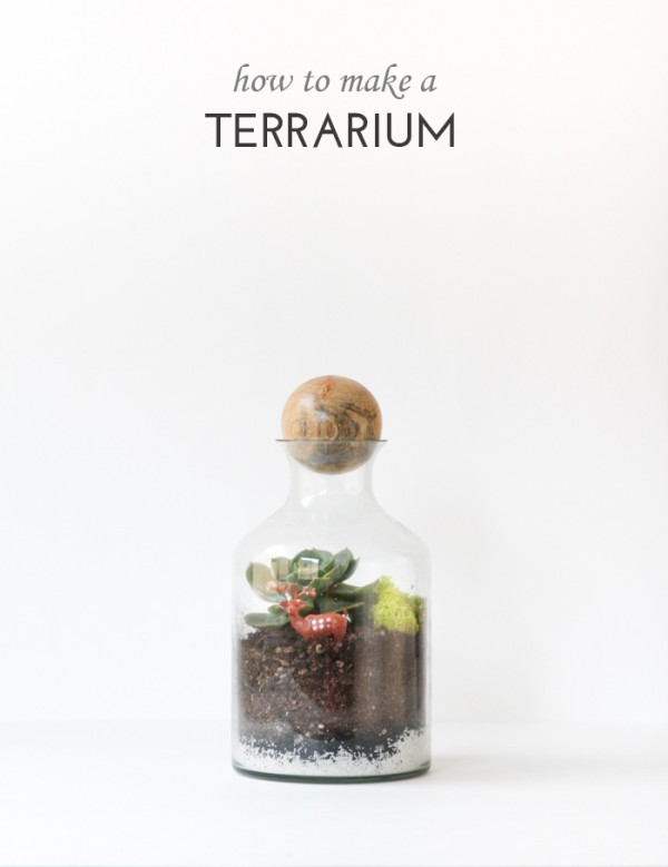 How-to-make-a-Terrarium-FINAL